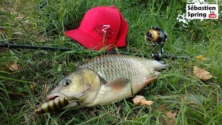 Un gros chevesne pris au Whopper Plopper [upl. by Adham]