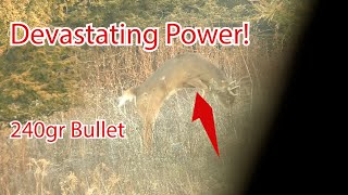 44 Magnum vs 10 Pointer Slow Motion [upl. by Lenej]