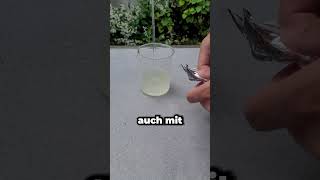 Die Gefahr von Abflussreinigern experiment chemie wissenschaft science vorgartenalchemist [upl. by Stultz]