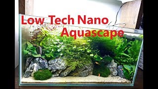 Low Tech Nano Aquascape [upl. by Oiramaj]