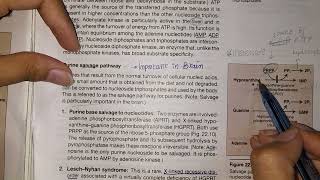 Purine Salvage Pathway Chapter 22 Part 3 Biochemistry Lippincott [upl. by Waite660]