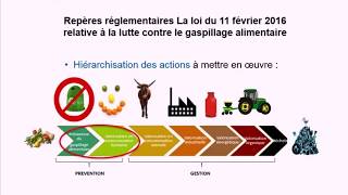 Organiser la lutte contre le gaspillage alimentaire [upl. by Miehar142]