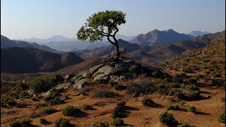 Richtersveld National Park and World Heritage Site [upl. by Alvis]