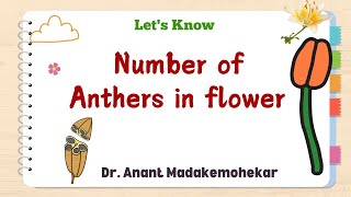 Number of Anthers in Different Crops [upl. by Ydniahs]