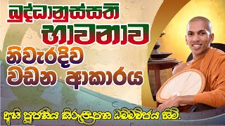 බුද්ධානුස්සති භාවනාව නිවැරදිව වඩන ආකාරය  budhdhanussathi bhavanava nivaradiva vadana akaraya [upl. by Kleiman457]