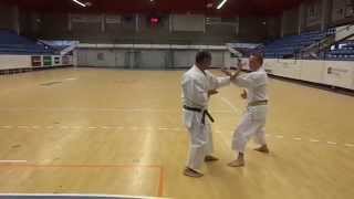 Heian Nidan  Kata Kumite [upl. by Munster]