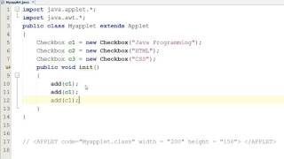 Checkbox in Java Applet Hindi [upl. by Eiraminot]