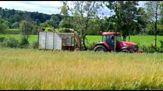 Cutting Whole Crop Silage [upl. by Yaakov]