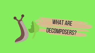 What are decomposers [upl. by Ecydnarb]