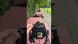 Comparing 28mm vs 200mm full frame lenscamera a7Siii Tamron 28200mm cameralens photographytips [upl. by Sparky]