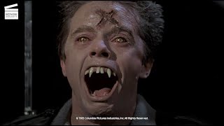 Fright Night The transformation HD CLIP [upl. by Cresida]