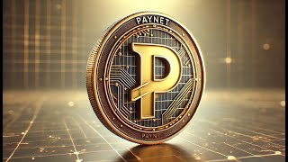 PayNet Coin vs Bitcoin Why This Crypto Lets You Sleep Easy [upl. by Ardnoik]