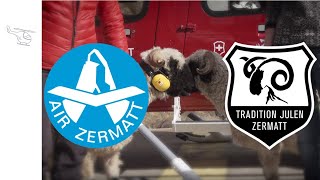 Zermatt  Matterhorn Zermatter Rettungsschaf [upl. by Leicester]