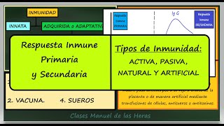 Respuesta Inmune Primaria y Secundaria Tipos de Inmunidad Adaptativa [upl. by Naeerb505]