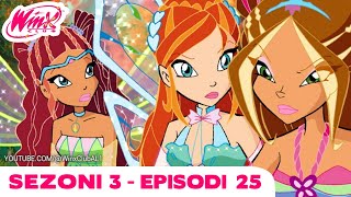 Winx Club Shqip  EPISODI I PLOTË  Zemërimi i Magjistarit  Sezoni 3 Episodi 25 [upl. by Schroeder113]