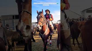 Horses market equestrain shorts horse asmr [upl. by Marchak401]