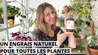 🌿 UN ENGRAIS NATUREL UTILISABLE TOUTE LANNÉE POUR TOUTES LES PLANTES  CEST POSSIBLE [upl. by Emse]