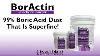 BorActin Insecticide Powder 99 Boric Acid Dust That is Superfine [upl. by Dnamron]