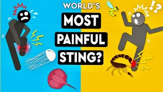 What Is The Most Painful Sting You Can Survive DEBUNKED [upl. by Aciria]