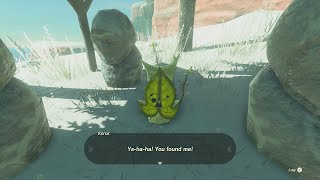 Gerudo Highlands 3 Statue Shelter Korok Puzzle TotK [upl. by Tlevesor]