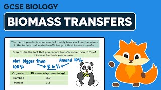 Efficiency of Biomass Transfers  GCSE Biology [upl. by Shiller]