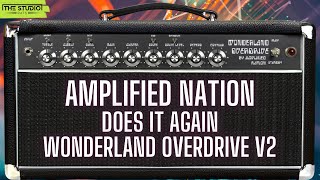 Oh My This Is Good Amplified Nation Wonderland Overdrive V2 [upl. by Murry]