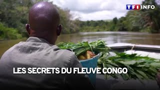 À la découverte des secrets du fleuve Congo [upl. by Shaff]