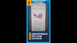 3 COMO RESPONDER LOS FOROS Y VER MI CALIFICACIÓN [upl. by Marguerie]