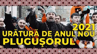 Uratura de anul nou ⛄️ Plugusorul cu 4 boi [upl. by Freddie]