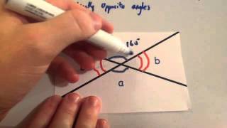 Vertically Opposite Angles  Corbettmaths [upl. by Kerrill]