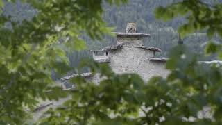 Patrimoine bâti du Vercors  quotles pignons en saut de moineauxquot [upl. by Ynor]