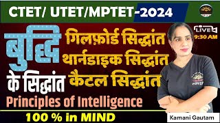 बुद्धि के सिद्धांत  Principles of Intelligence  थार्नडाइक का सिद्धांत कैटल सिद्धांत utet [upl. by Ojyma]