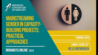 Minamata Online Mainstreaming gender in capacitybuilding projects [upl. by Germano]