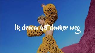 Pommelien Thijs ft MEAU  Droom Het Donker Weg Lyrics [upl. by Thessa]