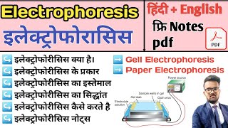 Electrophoresis in hindi  Gel Electrophoresis  Pepar Electrophoresis  Agarose Gel Electrophoresis [upl. by Ylagam]