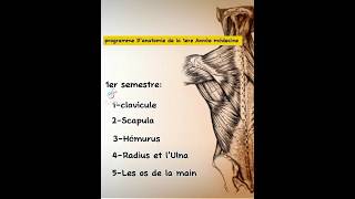 AnatomieLa1ere Année médecine 🤭✅ [upl. by Voe]