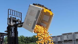 AIM Forward Bin Tipper Tipping Citrus [upl. by Nuahsar442]