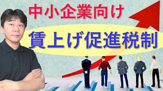 中小企業向け賃上げ促進税制について解説【静岡県三島市の税理士】 [upl. by Dacey]