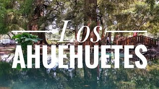 Como llegar a Los Ahuehuetes uno de los secretos naturales más bellos de México [upl. by Ecinaej217]