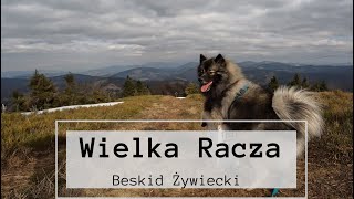 Wielka Racza  W góry z psem  Beskid Żywiecki  dji mini 4 pro  Rycerka Górna [upl. by Etnaik613]