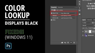 Color Lookup displays black Fixed  Color lookup shows black in windows 11 error in Photoshop [upl. by Bolanger]