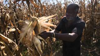 Interview with Paul Mapfumo University of Zimbabwe at the Agroecology Symposium [upl. by Ivatts229]