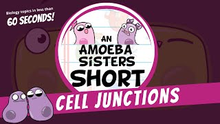 Cell Junctions  Amoeba Sisters Shorts [upl. by Tsyhtema]