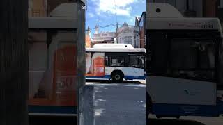 Randwick Bus Spotting  600 Sub Special  Movember Buses [upl. by Sanborne971]