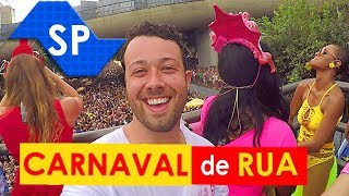 VALE A PENA curtir o CARNAVAL DE RUA de São Paulo [upl. by Eslehc]