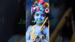 Sri krishna janmashtami whatsapp status 2021 happy krishna janmashtami whatsapp status 2021shorts [upl. by Jeramey]