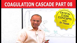 Coagulation Cascade  Part 812 [upl. by Allicserp]