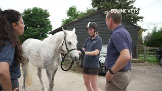 Wendover Heights Equine Vets [upl. by Allista849]