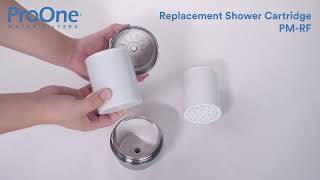 ProOne ProMax Shower Replacement Tutorial [upl. by Ojeillib]