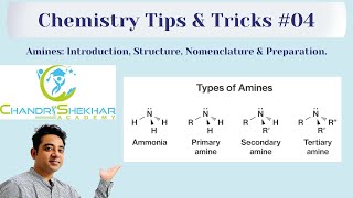 AMINES  INTRODUCTION STRUCTURE amp PREPARATION [upl. by Nosaes160]